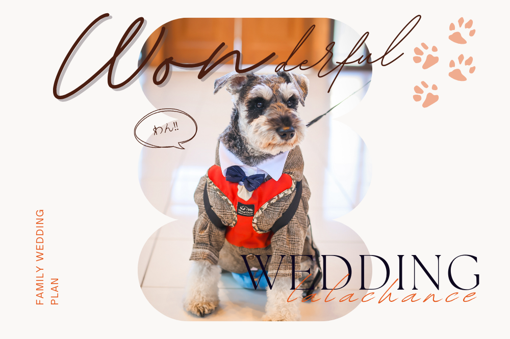 *愛犬と一緒にウエディング*