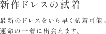 新作ドレスの試着