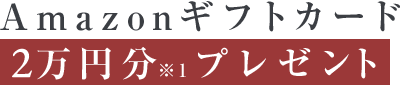 Amazonギフトカード2万円分※1プレゼント