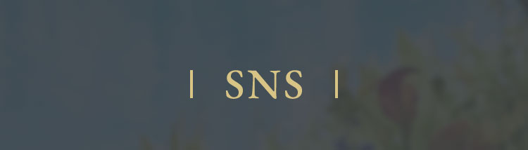 SNS