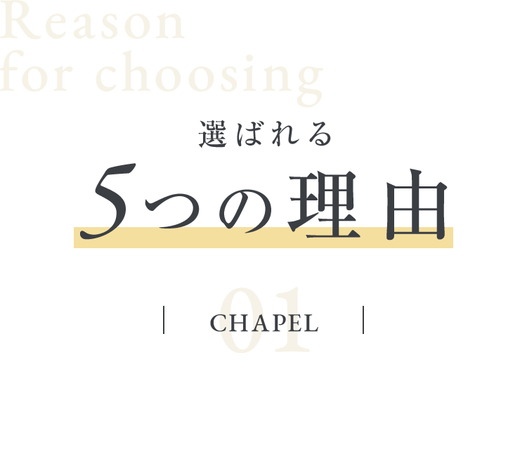 選ばれる5つの理由