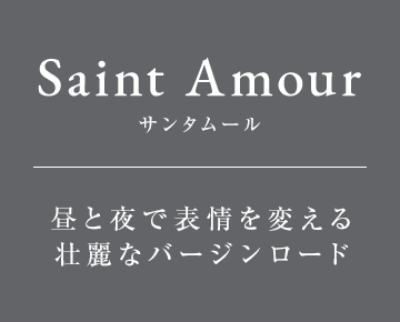 昼と夜で表情を変える壮麗なバージンロード