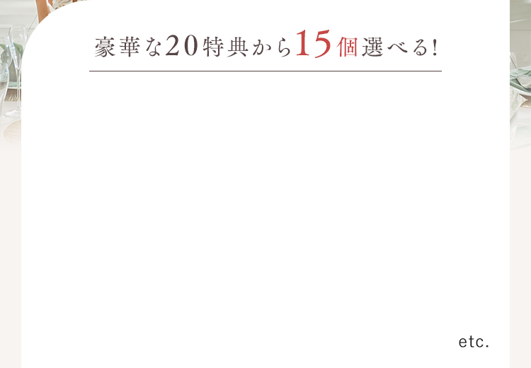 豪華な20特典から15個選べる!