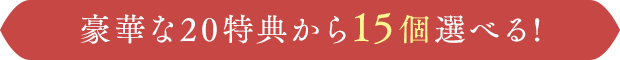 豪華な20特典から15個選べる!