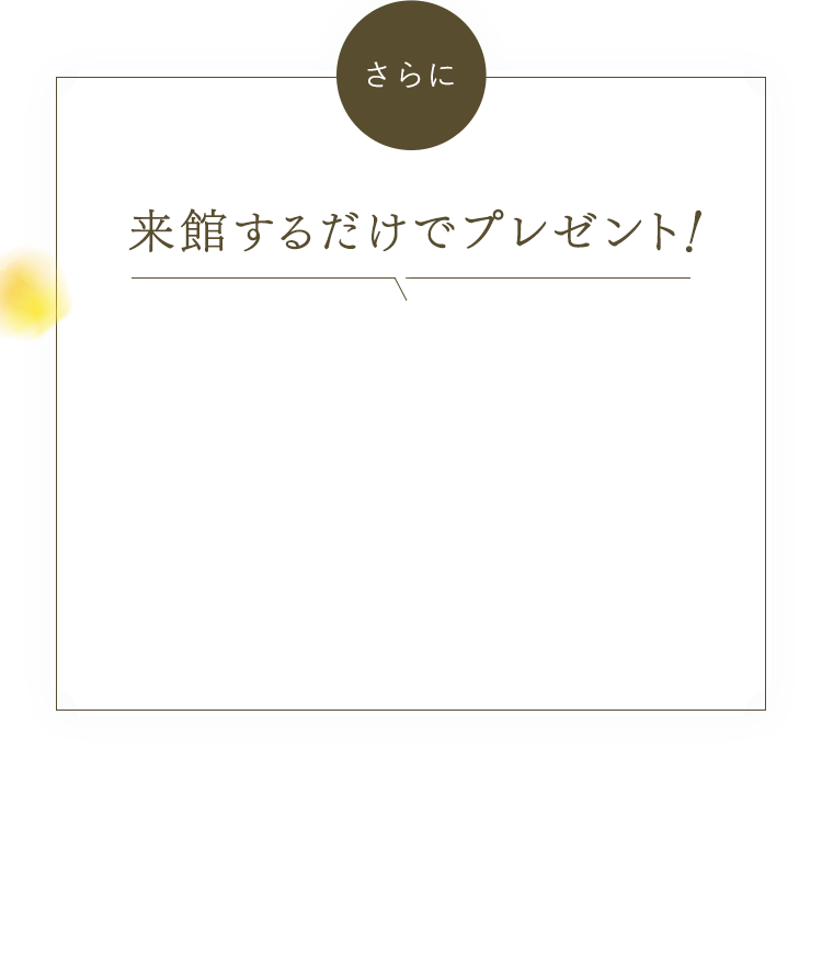 来館するだけでプレゼント