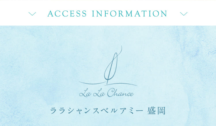 ACCESS INFORMATION