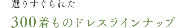 300着ものドレスラインナップ