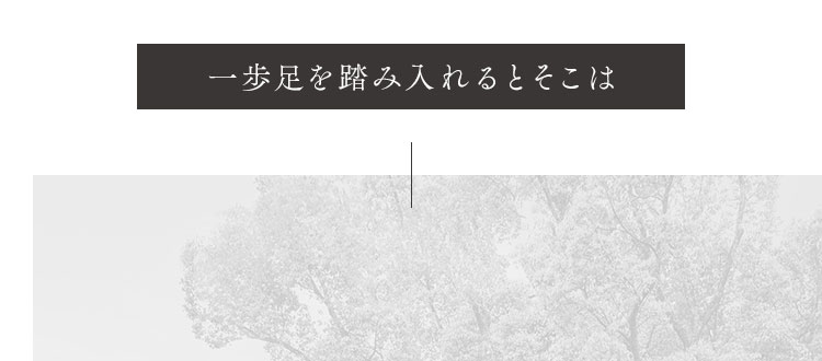 一歩足を踏み入れるとそこは