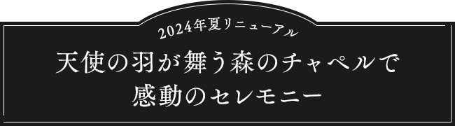 天使の羽が舞う森のチャペルで感動のセレモニー