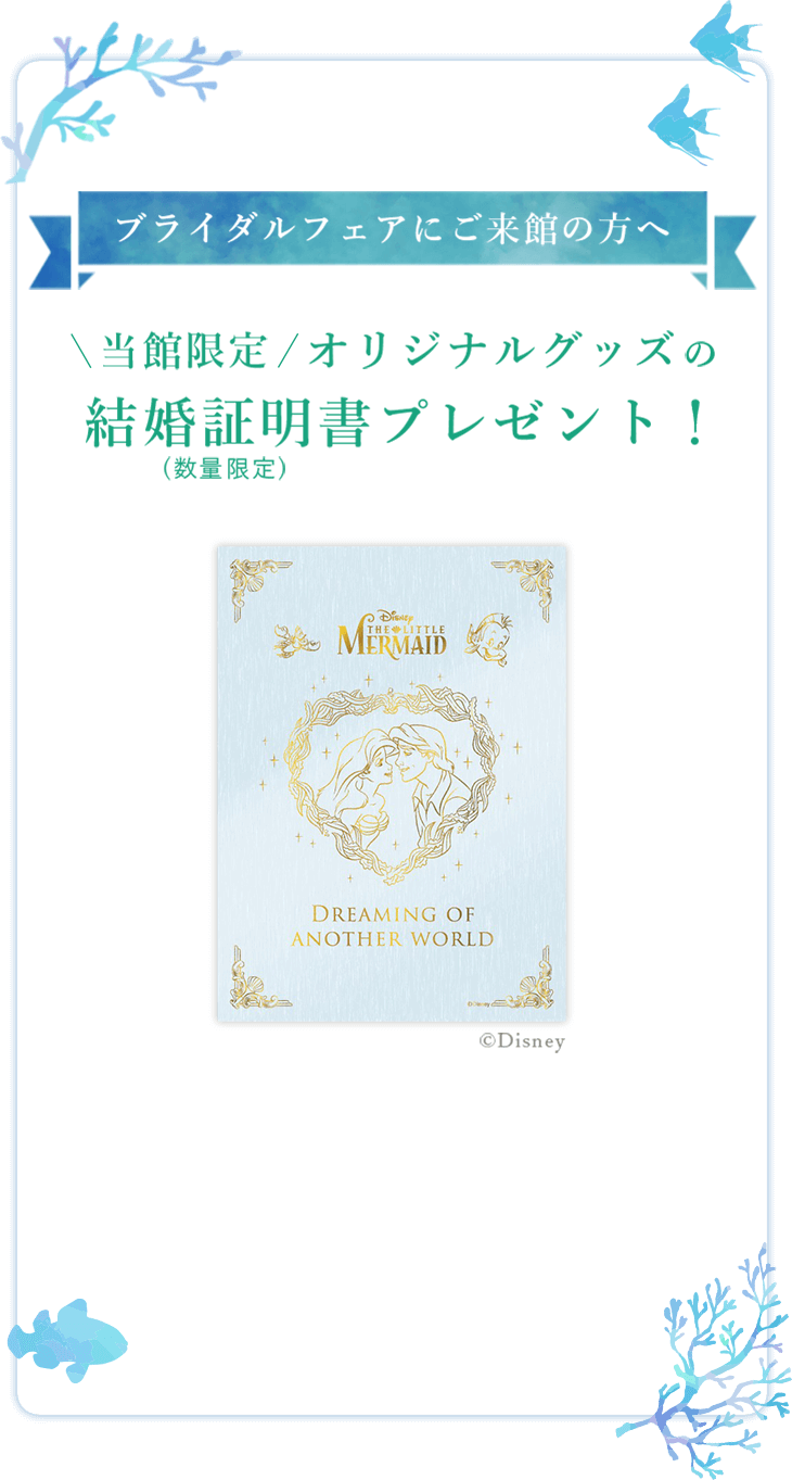 ディズニーディズニー リトルマーメイド 結婚証明書 - jkc78.com