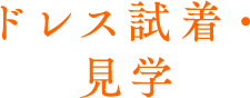 新作ドレスの試着