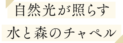 自然光が照らす水と森のチャペル