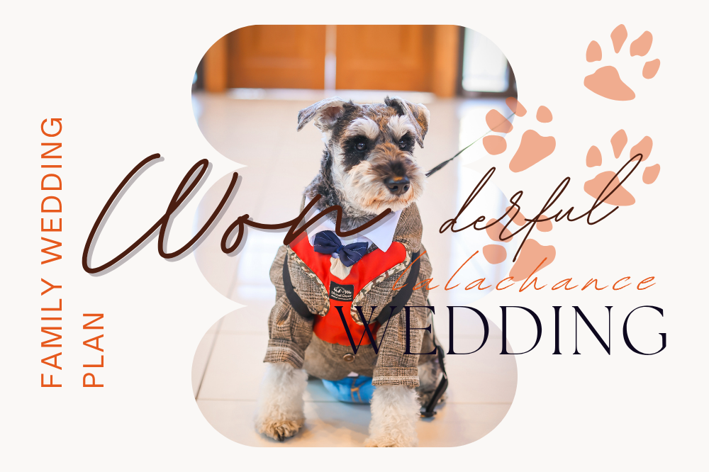 *愛犬と一緒にウエディングOK*